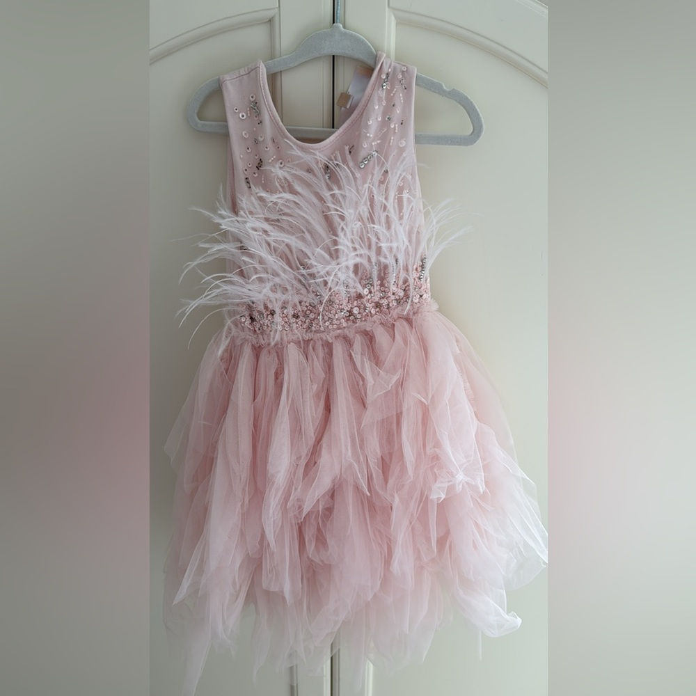 Tutu Du Monde Blush Feathered Dress